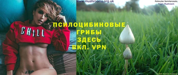 гидра Белоозёрский