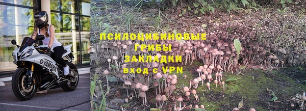 ALPHA PVP Белокуриха