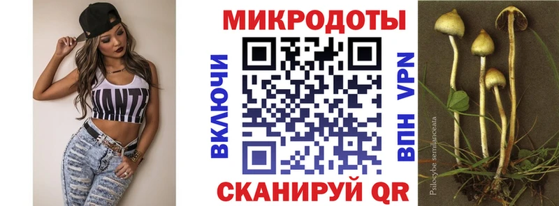 Галлюциногенные грибы Psilocybe hydra вход Краснотурьинск